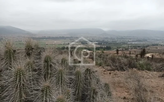 Terreno en venta, Pueblo Las Rojas, Valle de Elqui
