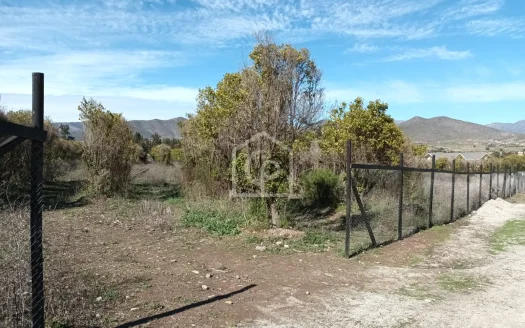 SE VENDE TERRENO 5000 m2 EN CONDOMINIO “LOS NARANJOS DEL ELQUI”, LAS ROJAS
