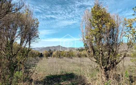 SE VENDE TERRENO 5000 m2 EN CONDOMINIO “LOS NARANJOS DEL ELQUI”, LAS ROJAS
