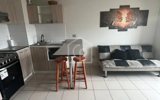 SE ARRIENDA DEPARTAMENTO 2D/1B, AMOBLADO, AÑO CORRIDO, PUERTAS DEL MAR